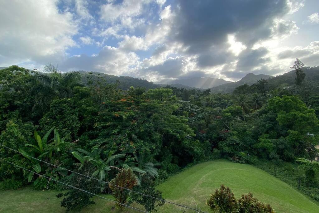 Rainforest Retreat 15 Min From The Beach Luquillo Exterior foto