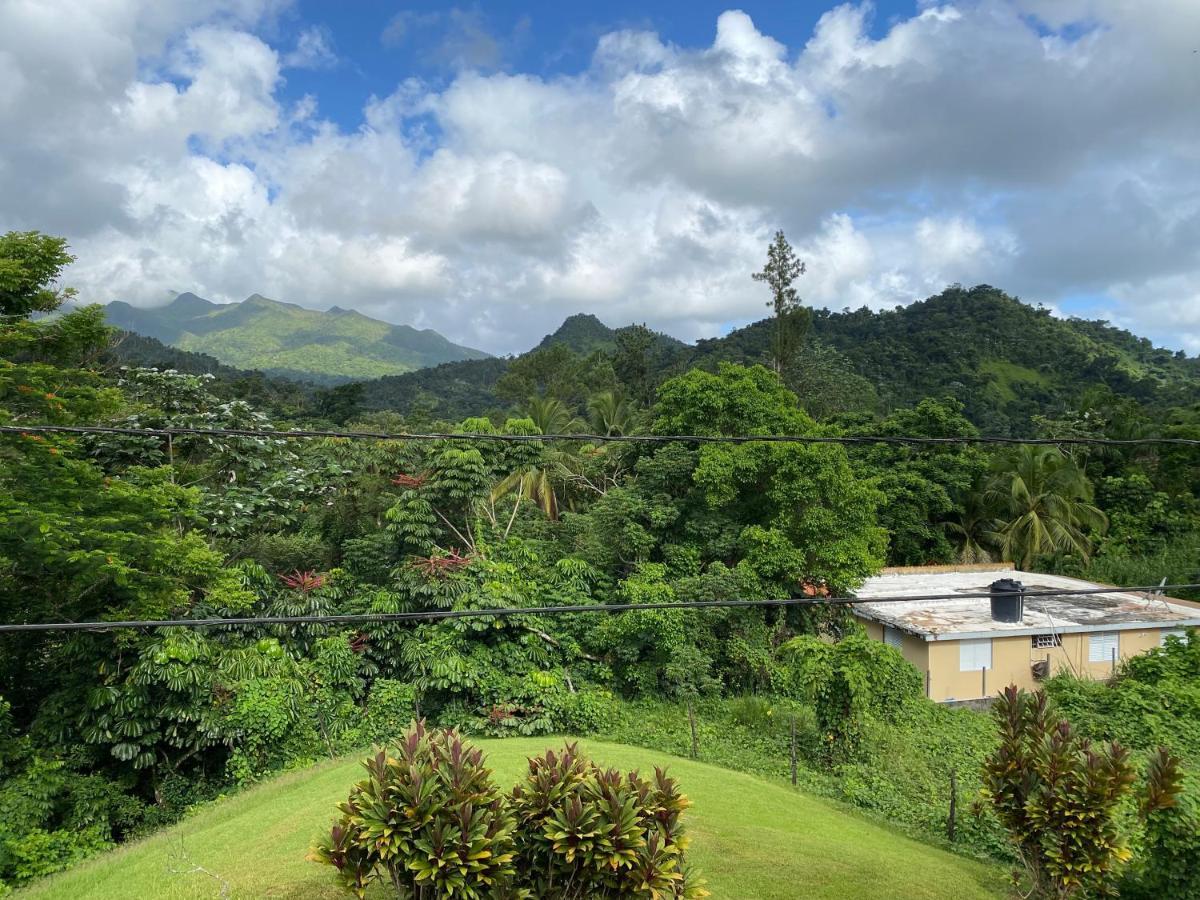 Rainforest Retreat 15 Min From The Beach Luquillo Exterior foto