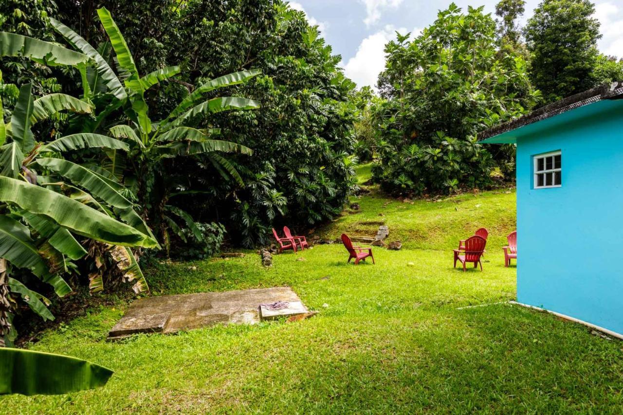 Rainforest Retreat 15 Min From The Beach Luquillo Exterior foto